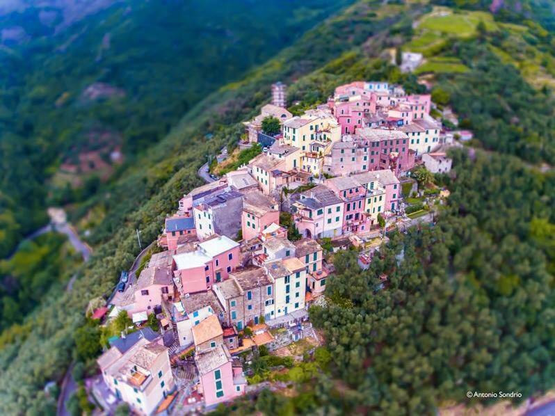 Cinqueterre - Terrace And Beautiful View Apartment Levanto Ngoại thất bức ảnh
